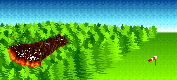 Waldbrandausbreitung